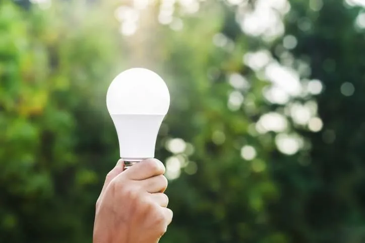 A person is holding a light bulb in their hand.